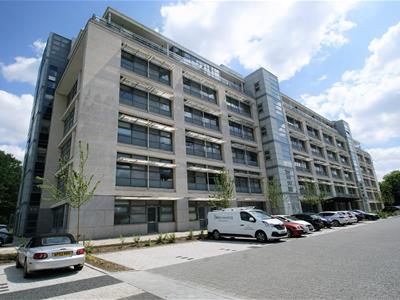 Picture 15